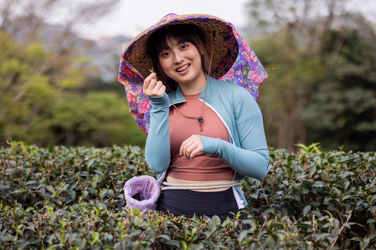 民眾前往文山農場能體驗台灣茶葉文化，經由採茶、製茶、品茶等過程，了解茶文化的同時更能享受遠離塵囂的快樂。 圖：新北市觀旅局提供