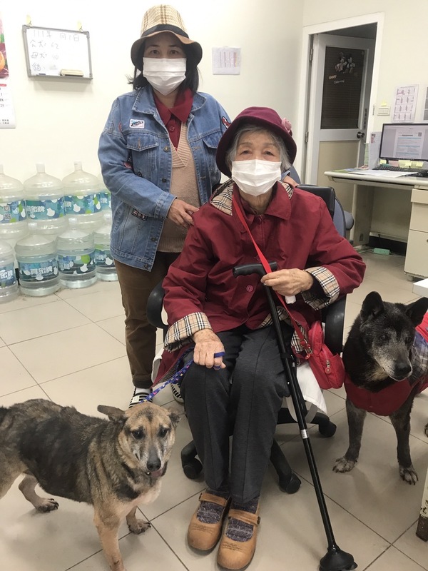 洪阿嬤一家決定認養小可愛（左）。 圖：新北市動保處提供
