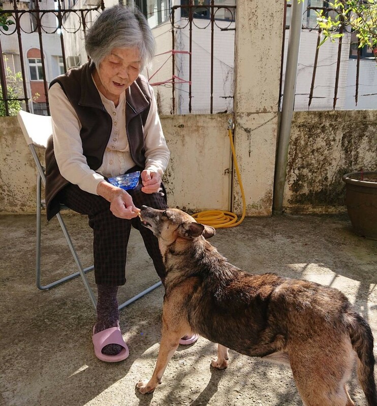 洪阿嬤有小可愛陪伴添了許多樂趣。 圖：新北市動保處提供
