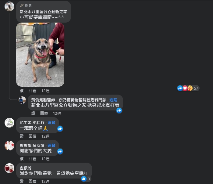 網友們為小可愛找到家獻上祝福。 圖：新北市動保處提供