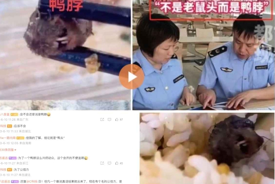 江西鼠頭事件後，大陸官方一度將鼠頭稱作是鴨脖，企圖掩蓋真相，遭到網民砲轟。 圖 : 翻攝自微博