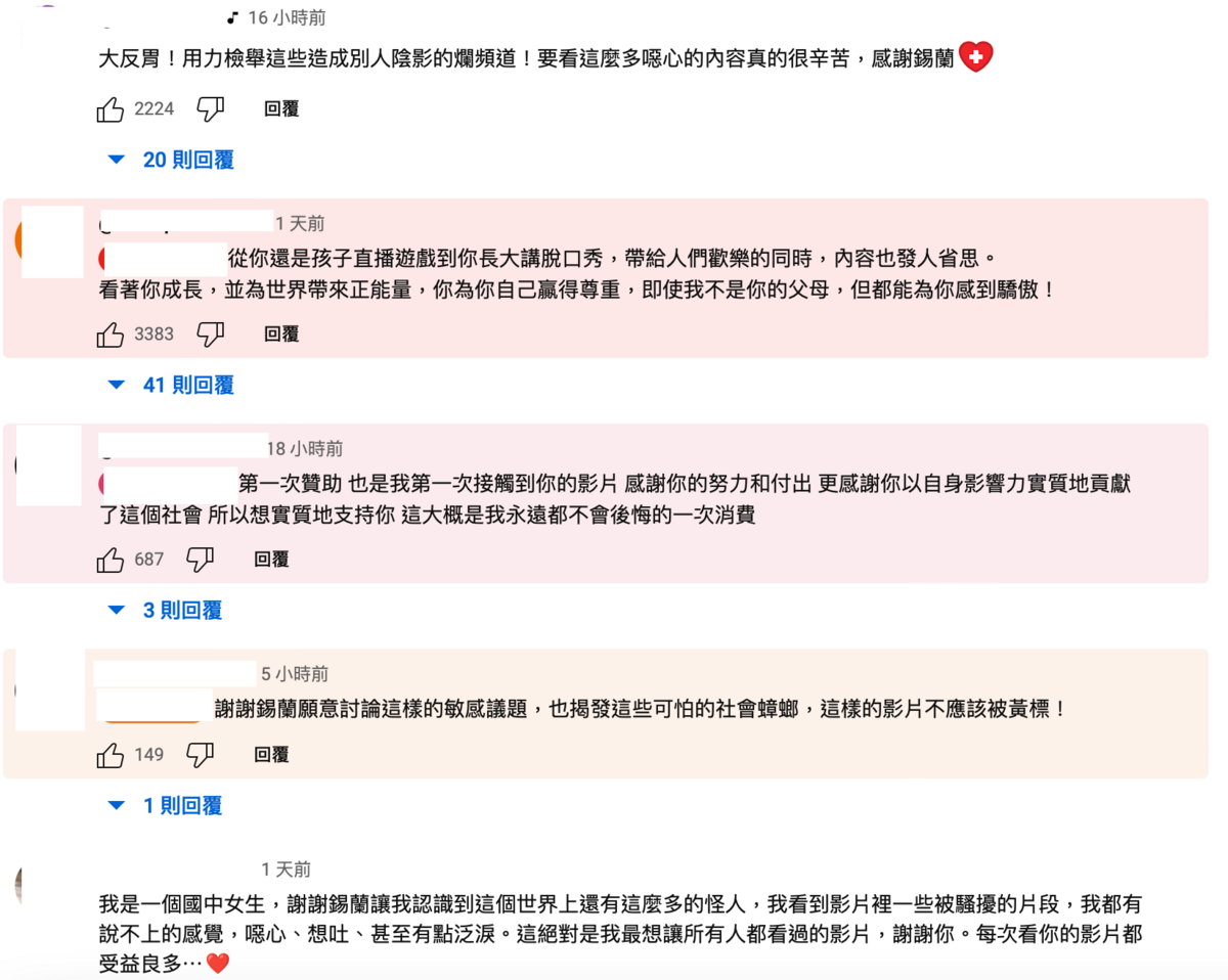 網友看了直呼「用力檢舉」。 圖：翻攝自錫蘭Ceylan Youtube