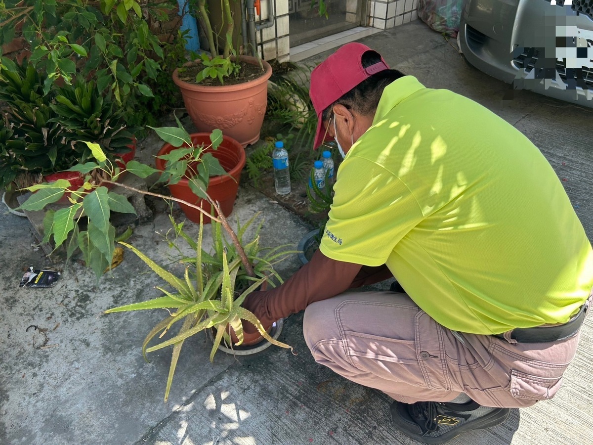 高市府檢查住家花盆是否孳生病媒蚊。 圖：高雄市衛生局/提供