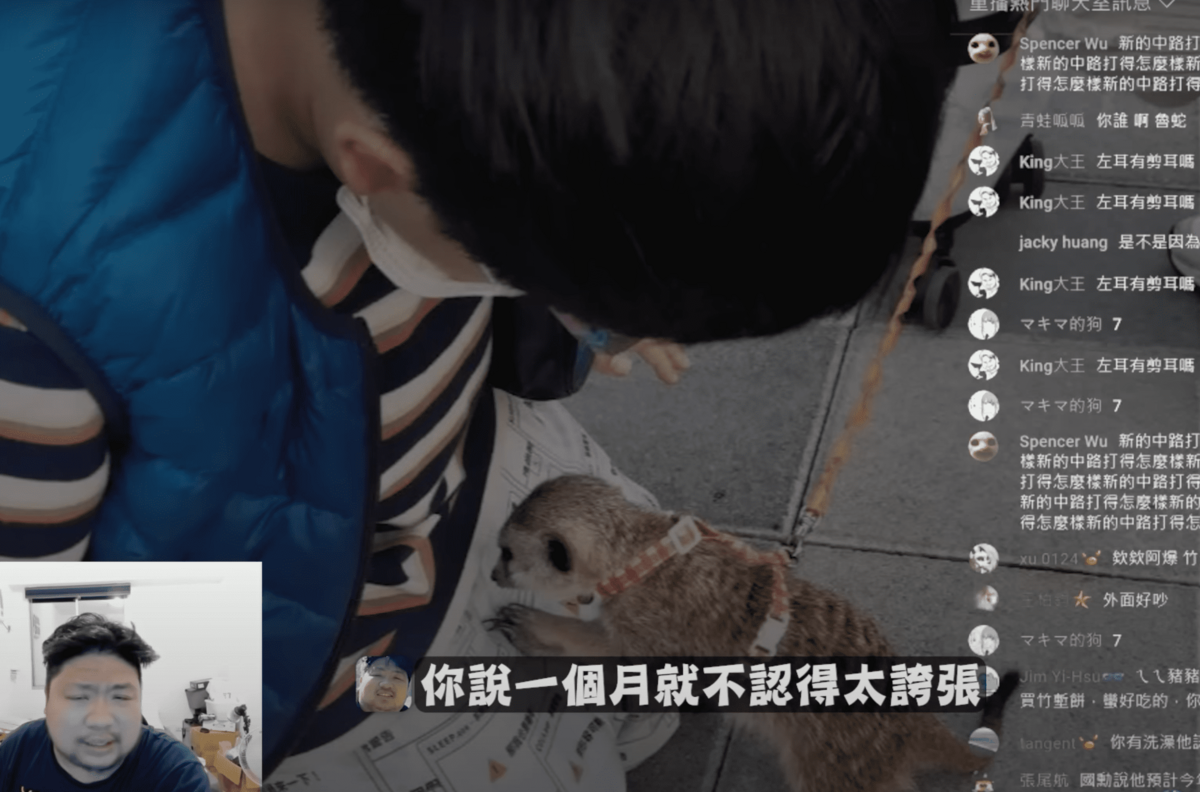 但貓咪卻一點都不親統神，讓他忍不住懷疑該隻橘貓並不是陳橘。 圖：翻攝自YT/ 統晨大戲院