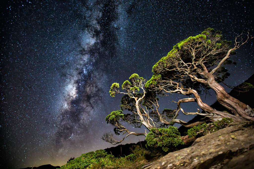 合歡山北峰星空。 圖：取自交通部觀光局網站
