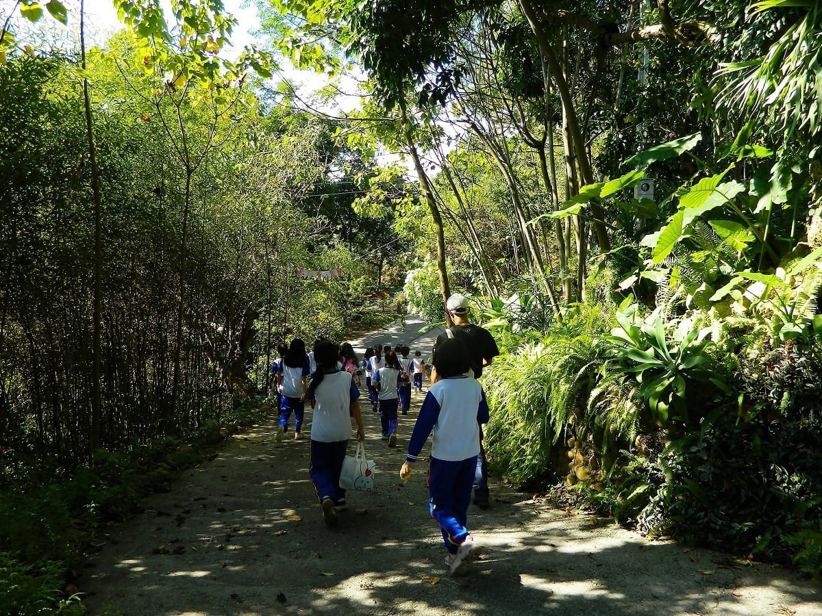 彰化石牌社區就打造了總長約1.2公里的親水生態環線步道，沿途可探訪原始自然林相景觀。 圖：農業委員會水土保持局／提供