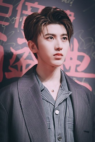 中國藝人蔡徐坤近期傳出與某位女士發生男女關係，導致對方懷孕並逼迫其流產的醜聞。 圖：翻攝自維基百科