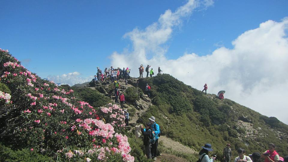 大批遊人登東峰賞花。 圖：翻攝自太魯閣國家公園臉書