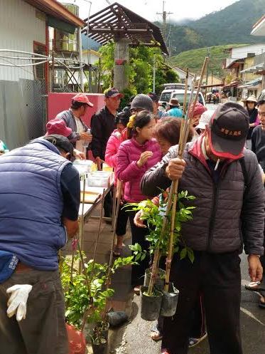 居民踴躍響應種植紫藤樹苗，一起打造紫藤山城。 圖：參山處提供
