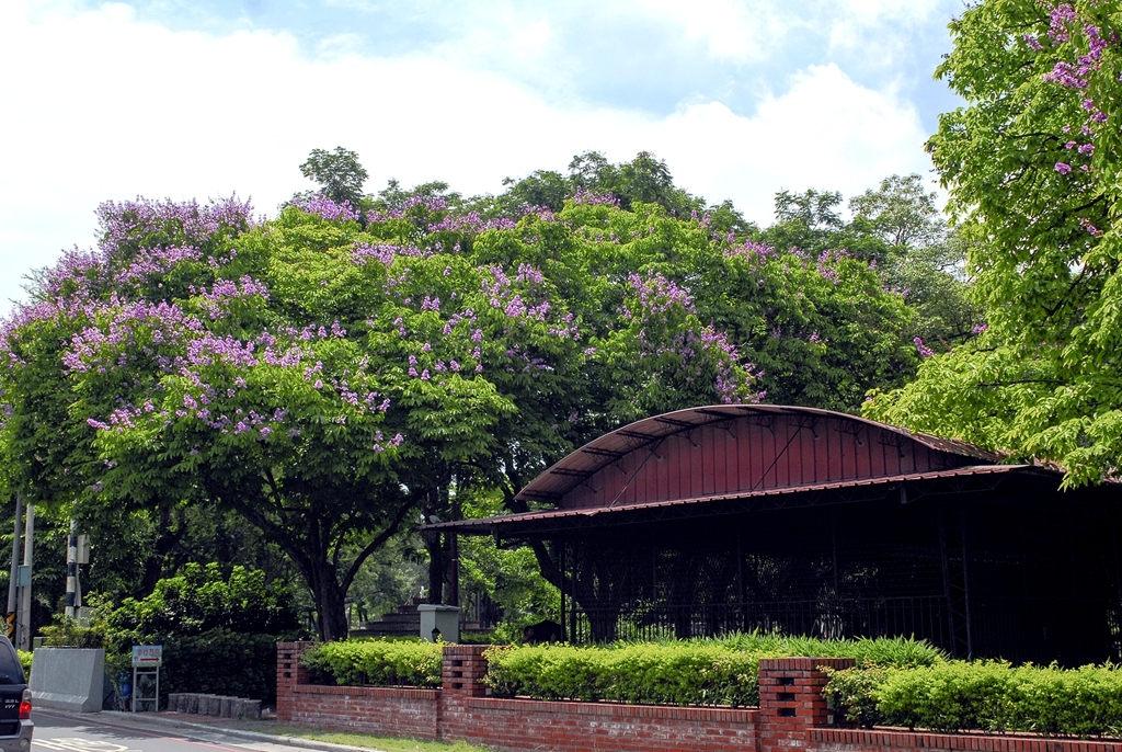 嘉義公園擁有百年歷史。 圖：翻攝自台灣觀光年曆