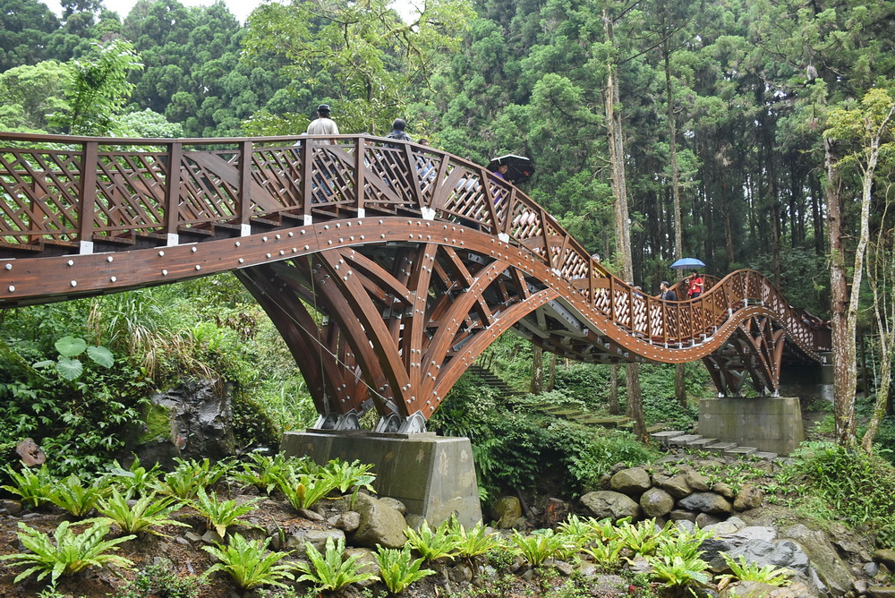 銀杏橋全長36公尺，寬2公尺，建造材料採用園區自產的柳杉，經由集成材技術加工而成，採用國家標準進行防腐、乾燥，在自然使用下，耐久年限可達30至50年。 圖：南投縣政府提供