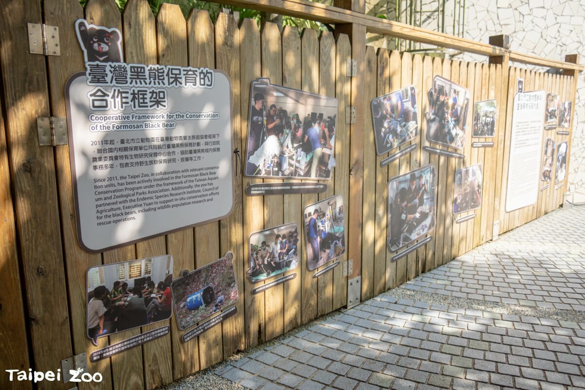 民眾可以了解台灣黑熊保育的點滴。 圖：翻攝自台北市立動物園官網
