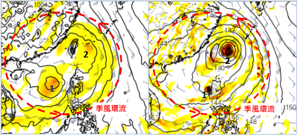 菲律賓、台灣東方海面至南海一帶，為大「季風低壓環流(紅虛圓)」(mosoon gyre)所盤據，其中有2個熱帶擾動發展；但兩模式模擬的強度有很大差異。 圖：翻攝自老大洩天機專欄
