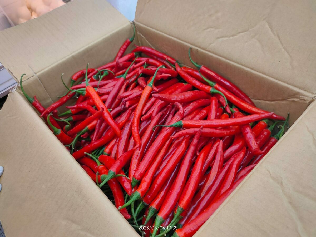 第三級致癌物「蘇丹紅」辣椒粉流竄全台，台灣國產的辣椒因此買氣大減。（示意圖） 圖：台北市衛生局提供
