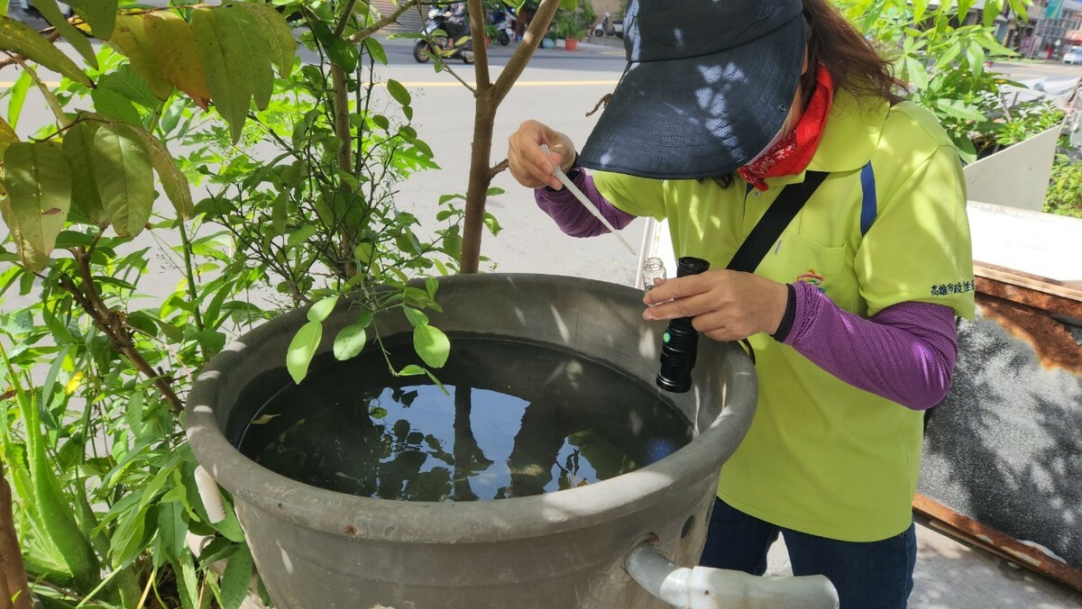衛生局加強在積水容器查察病媒蚊幼蟲。 圖：高雄市衛生局/提供