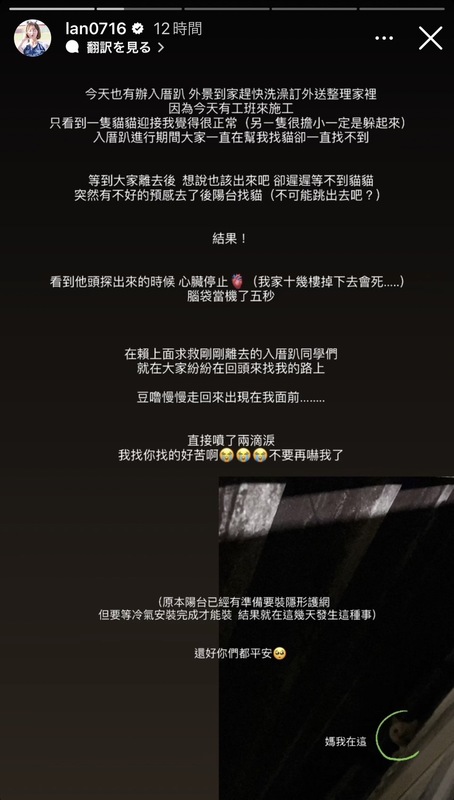 籃籃分享她家的貓出現在十幾層的陽台，讓她當場嚇哭。 圖：翻攝自籃籃IG