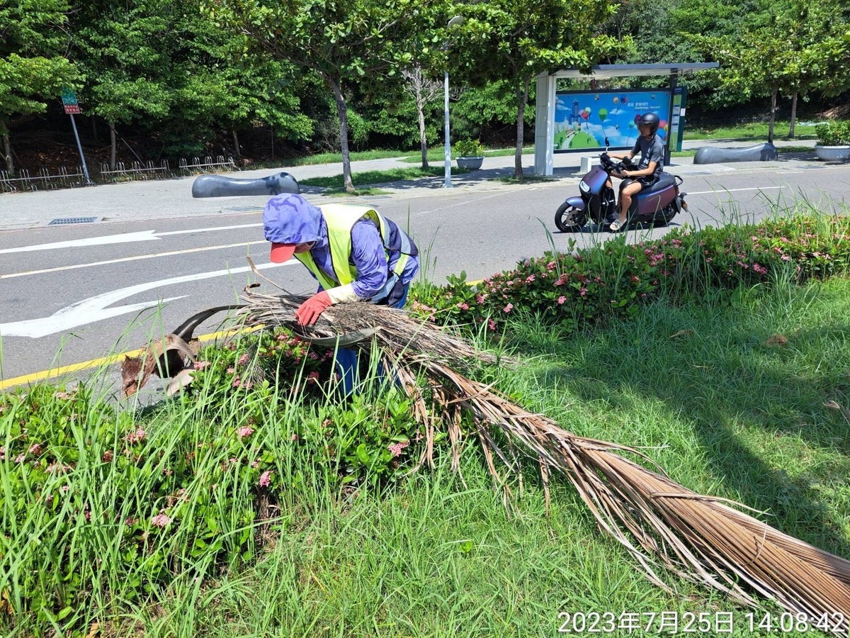 觀光局對景區植栽及材料進行颱風前收整。 圖：高雄市觀光局提供