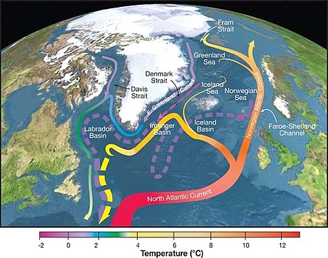 大西洋經向翻轉環流可能會在本世紀中期左右崩潰，甚至最早在 2025 年開始。 圖：翻攝自維基百科
