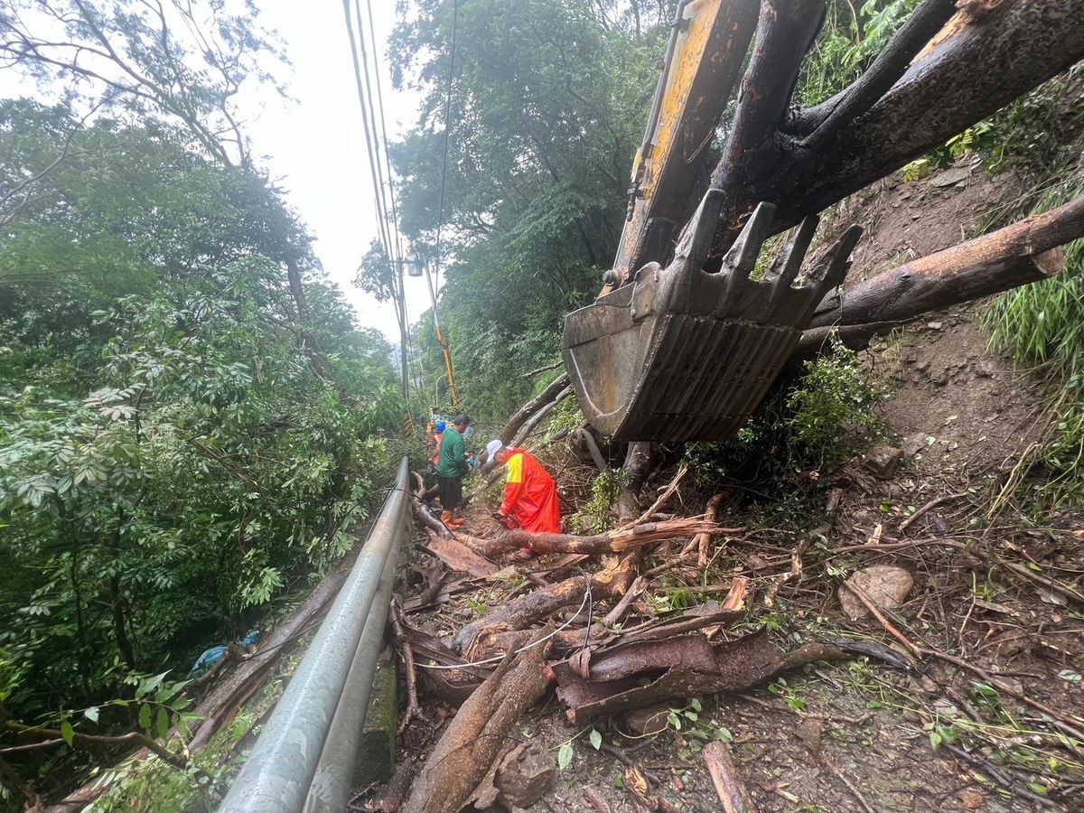 高雄市桃源區路樹倒塌壓斷電纜線造成停電。 圖：高雄市原民會提供