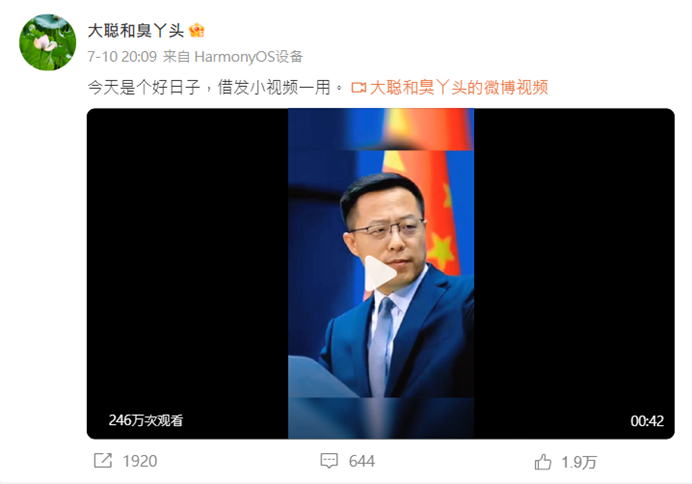 7 月 10 日秦剛消失之際，趙立堅妻子湯天如發文稱「今天是個好日子」。 圖：翻攝自微博大聰和臭丫頭