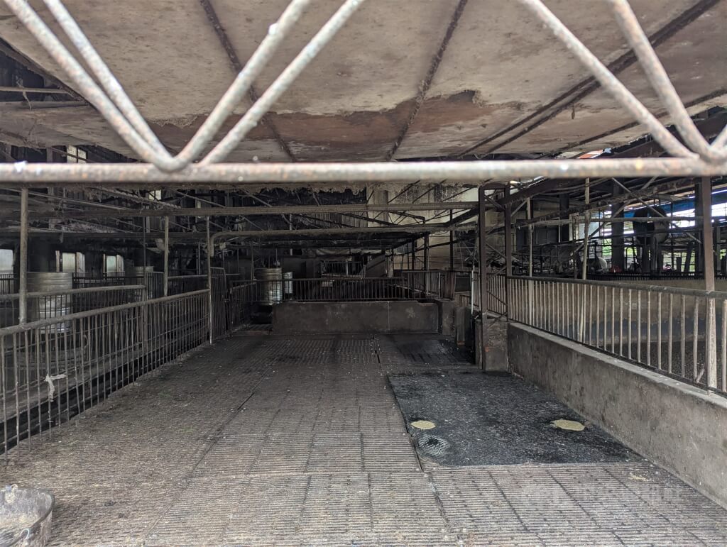 圖為驗出非洲豬瘟的台中市梧棲區養豬場。（中央社檔案照片）