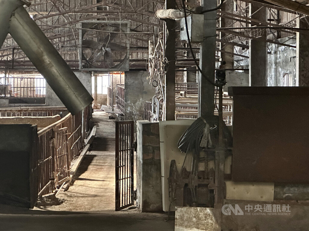 台中市梧棲區洽興畜牧場2025年10月爆發非洲豬瘟，豬場已被清空，無法再飼養豬隻。中央社記者趙麗妍攝　115年2月25日