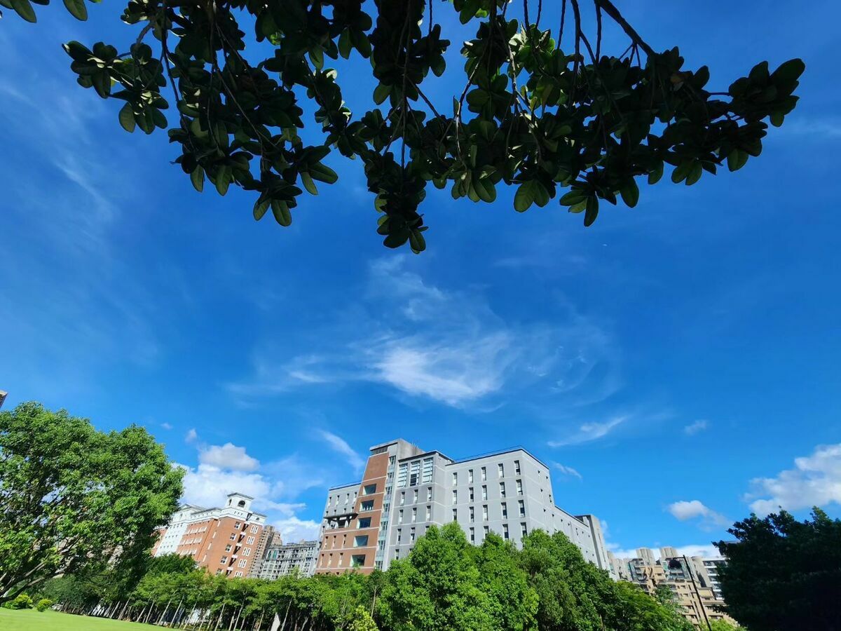 台北大學。 圖：取自台北大學網站