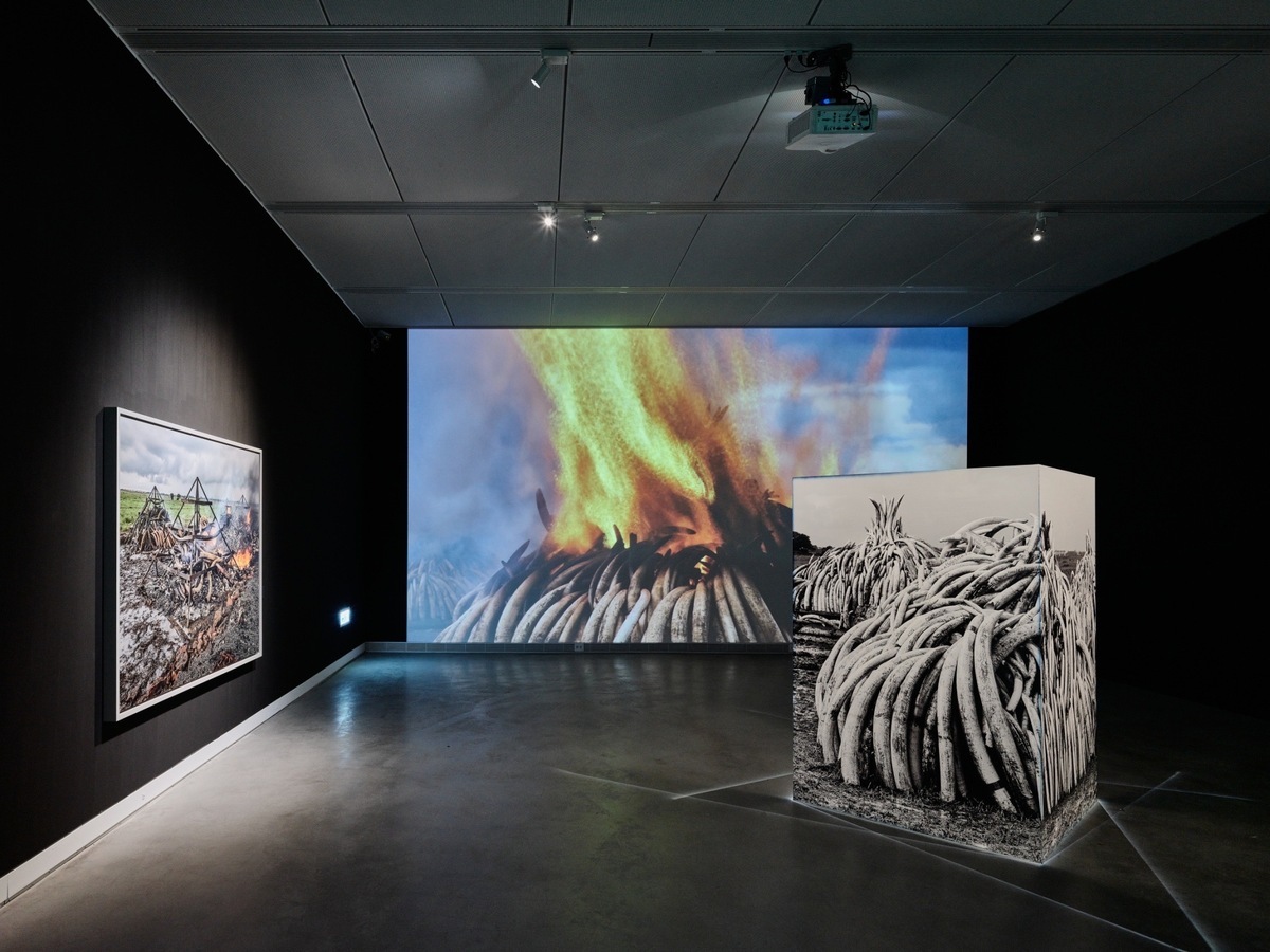 高美館特展《人類世》展場一隅。 圖：Studio Millspace提供
