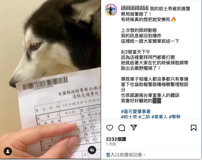 宜蘭1隻哈士奇2日衝到馬路上，導致機車追撞汽車，幸無人受傷。女飼主之後拿著道路交通事故聯單訓斥哈士奇，當事人欄位上寫著「哈士奇」。 圖：翻攝自illillillillilliliＩＧ