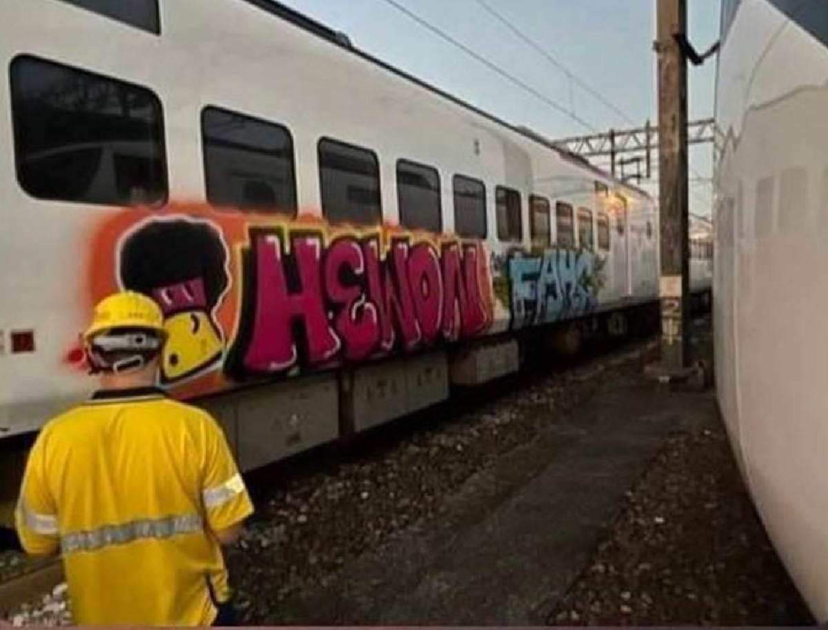 今(13)日清晨停放在樹林調車場的EMU3000型自強號，遭惡意人士塗鴉。 圖：翻攝自靠北台鐵臉書