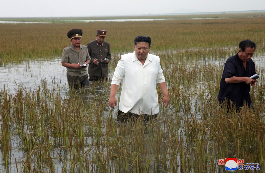 金正恩與多位官員一同踩入淹水的水田中，視察當地水災。 圖：翻攝自朝中社