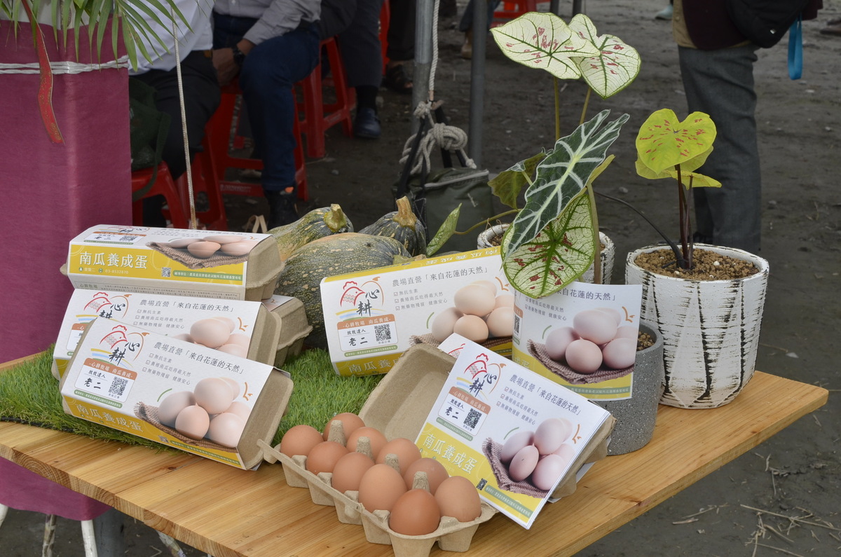 花蓮縣吉安鄉南華部落心耕牧場量身打造具有「低脂肪、低熱量、低膽固醇」3低特質的「南瓜雞蛋」。 圖：畜試所/提供