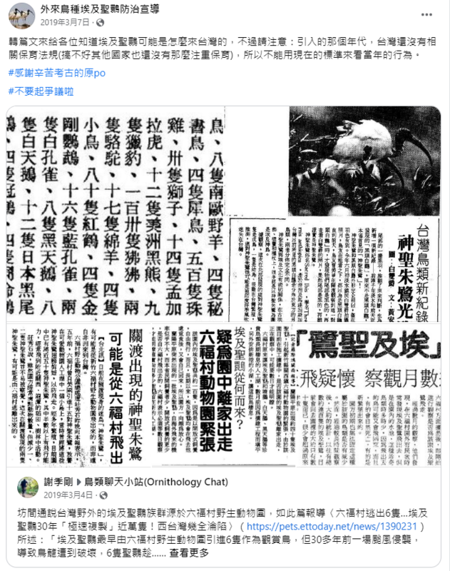 造成埃及聖䴉快速繁衍的原因，疑似是1979年六福村野生動物園基於觀賞需求引進，但事後因風災逃脫，而造成快速繁衍。 圖：翻攝自《外來鳥種埃及聖䴉防治宣導》
