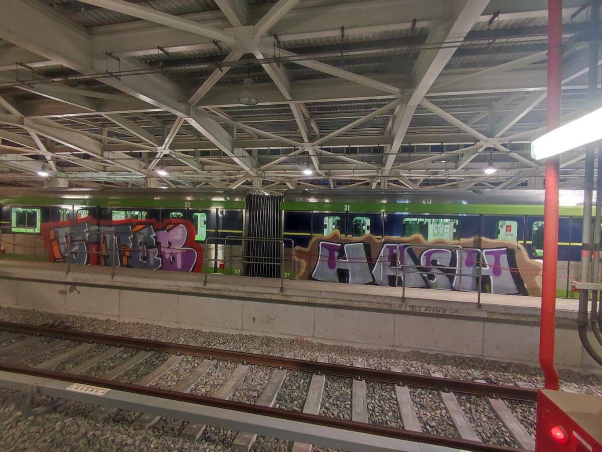 中捷列車遭塗鴉。 中捷/提供