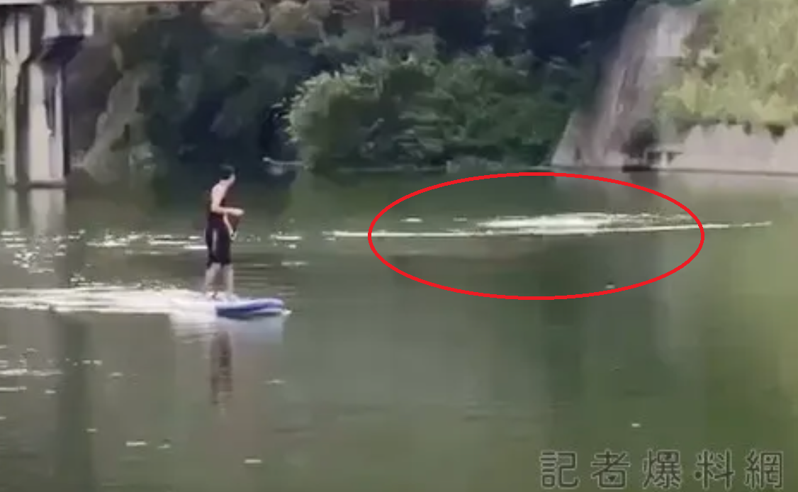 苗栗縣一名23歲江姓男子昨天至新竹縣峨眉湖玩立槳溺水，消防人員今天上午發現江男，救起時已無生命跡象。 圖片來源:記者爆料網