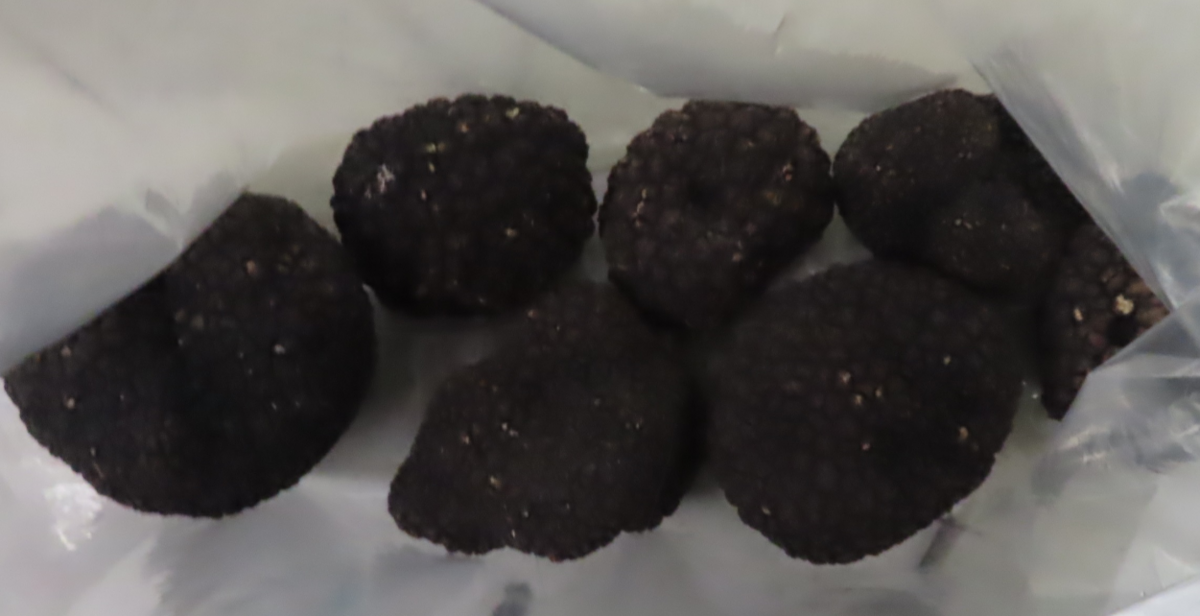 食藥署今表示，查獲一批來自義大利的黑松露重金屬鎘超標不合格，這是今年第7批違規案例，涉及3家主要廠商。 圖：食藥署/提供