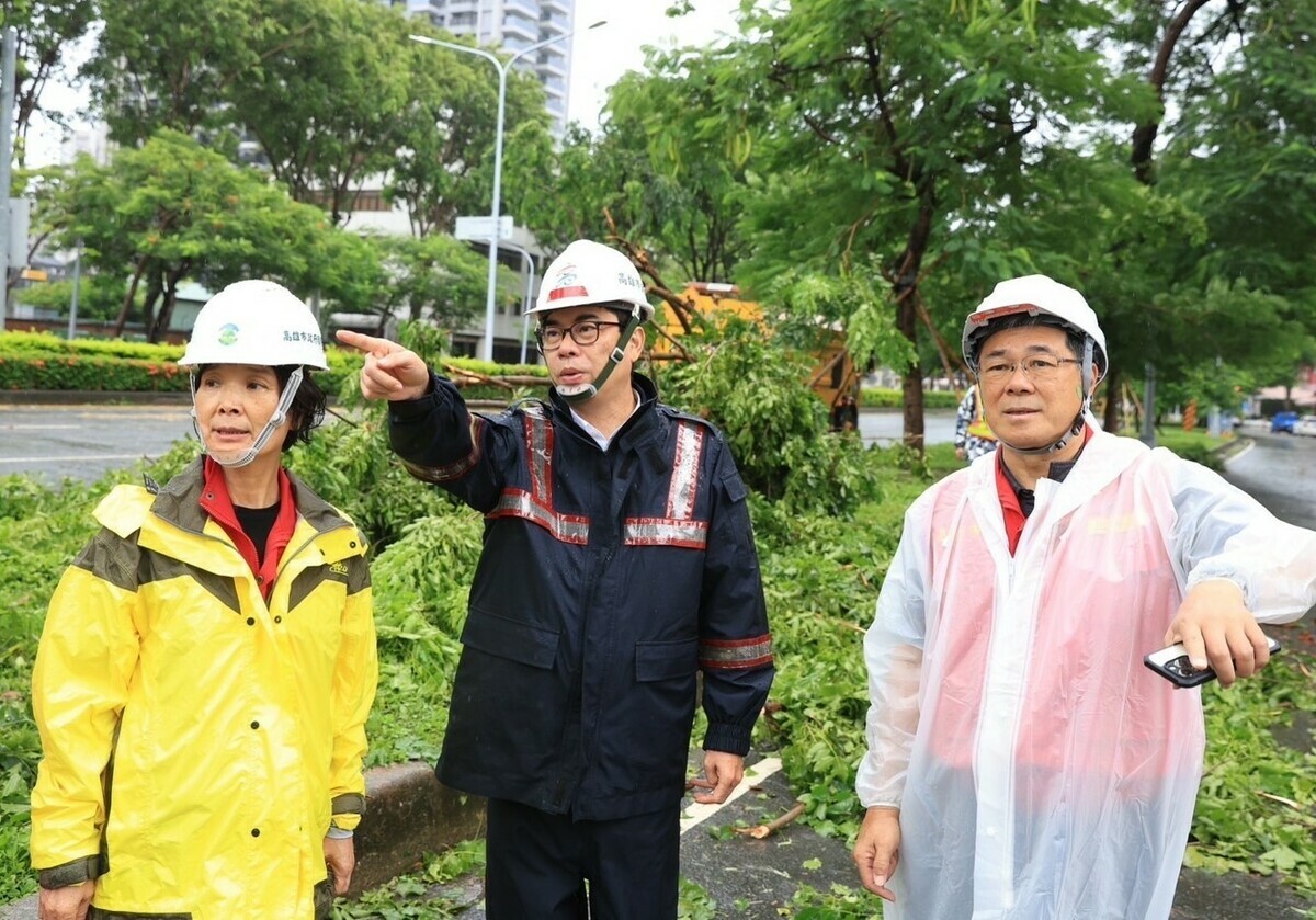 陳其邁(中)視察楠梓路樹障礙排。 圖：高雄市政府提供
