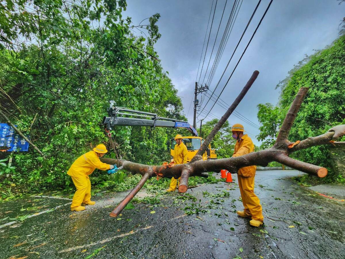 台電人員移除倒塌的路樹。 圖：台電高雄區處提供