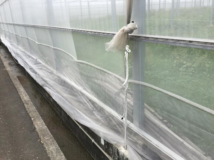梅雨將自6月1日起影響台灣，中南部地區將有局部大雨或豪雨發生的機率，高雄農改場籲及早準備因應。 圖：高雄農改場提供