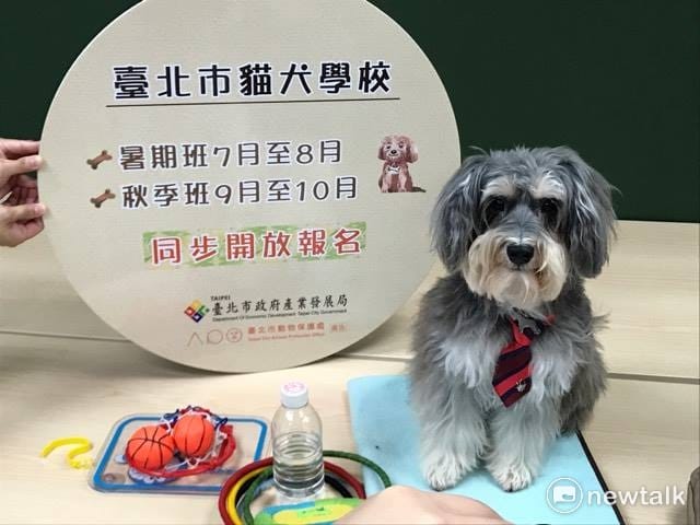 示範犬「愛寶」。 圖：周煊惠／攝