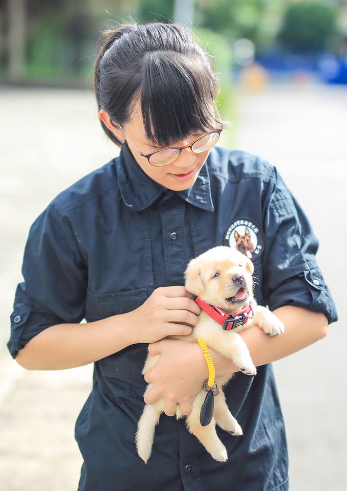 警政署警犬六位小萌犬：福星、舒曼、飛達、一哥、AJ還有亮，6月9日滿月。 圖:翻攝自NPA署長室臉書