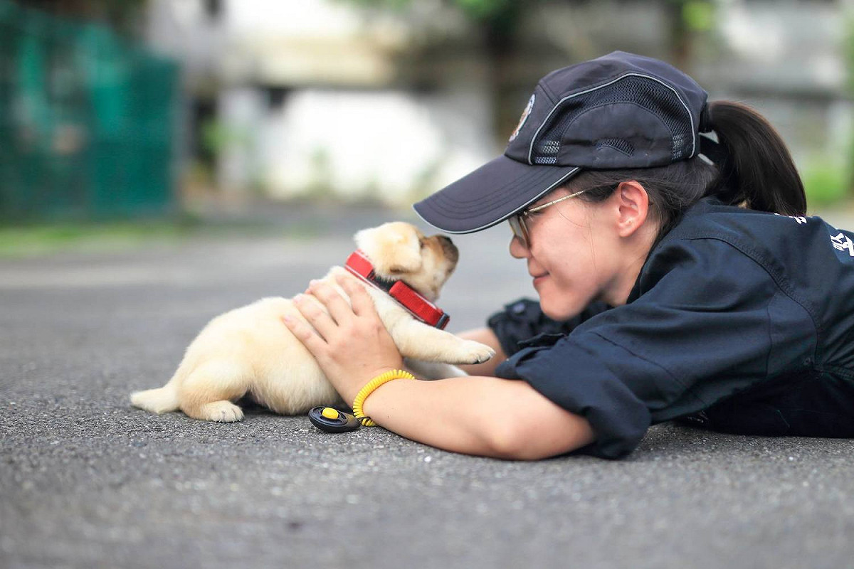 警政署警犬六位小萌犬：福星、舒曼、飛達、一哥、AJ還有亮，6月9日滿月。 圖:翻攝自NPA署長室臉書