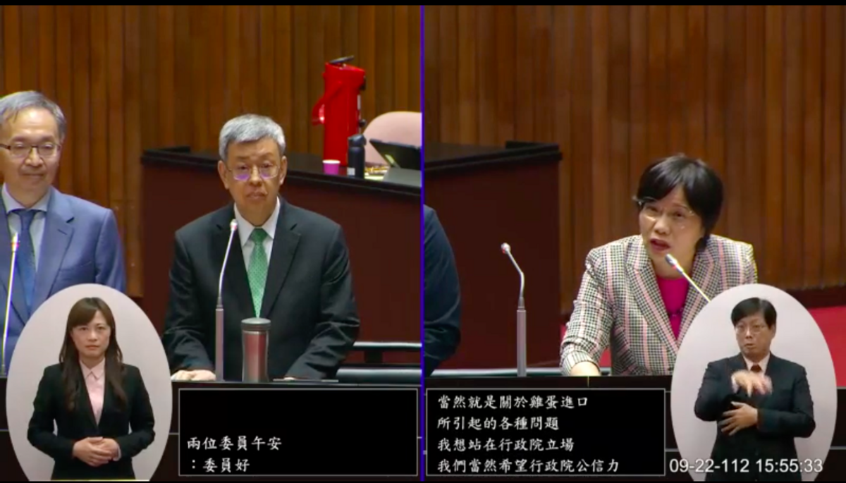 民進黨立委劉世芳質詢行政院要求未來共諜案應予以重判，以回應民眾期待。 圖：翻攝至立法院直播（資料照）