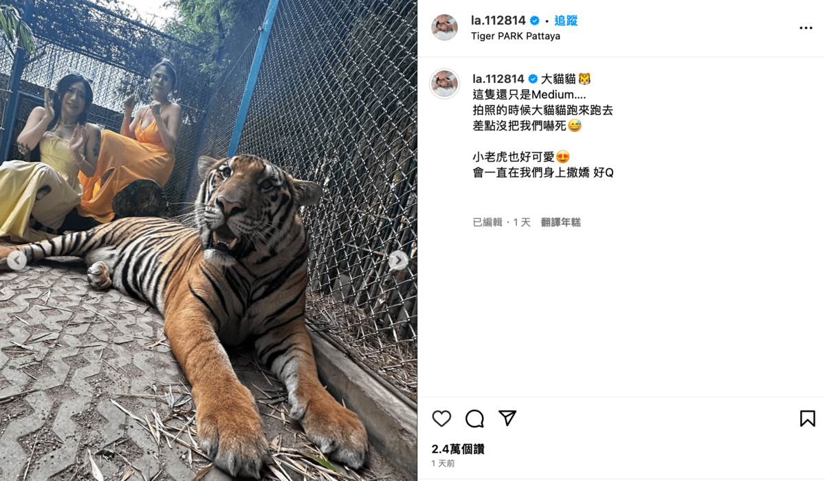 其中一張，蕾菈坐在老虎的後方直接露出超驚恐的表情。 圖：翻攝自IG＠la.112814