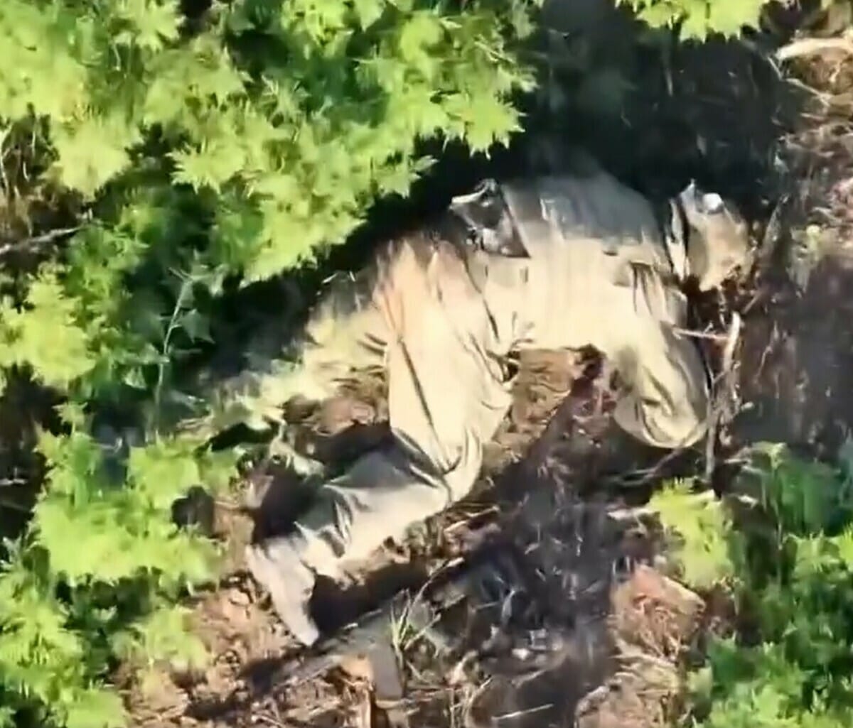 近期烏軍在扎波羅熱的新普羅科皮夫卡至韋爾博韋地區，與俄軍發生激烈交戰，最終成功殲滅俄軍整個步兵班。圖為俄軍屍體。 圖：翻攝自 Cloooud X（前推特）帳號