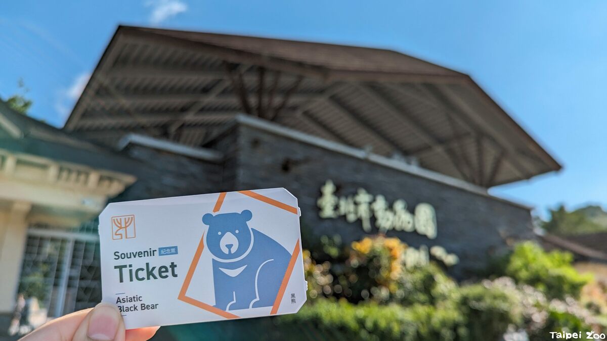 台北動物園於29日起至10月底推出園慶限量紀念門票，有黑熊、金剛猩猩、大貓熊3種圖案。 圖：台北市立動物園／提供