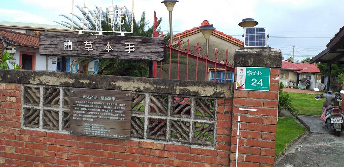 藺草本事。 圖：台南市政府觀光旅遊局／提供