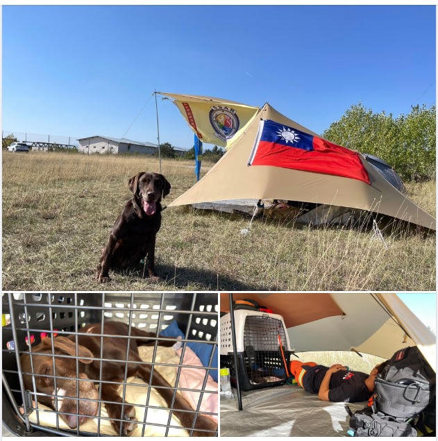 台灣搜救犬Amei（上圖）在奧地利為國爭光，挑戰最困難的國際MRT「救援任務能力認證」後，人犬都累翻（下圖）。 圖：翻攝自台灣偵搜犬協會臉書