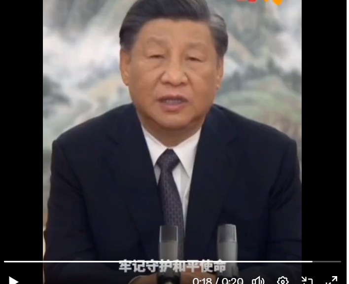 中國領導人習近平表示，只有人人都記取戰爭的教訓，和平才有希望。 圖：翻攝推特