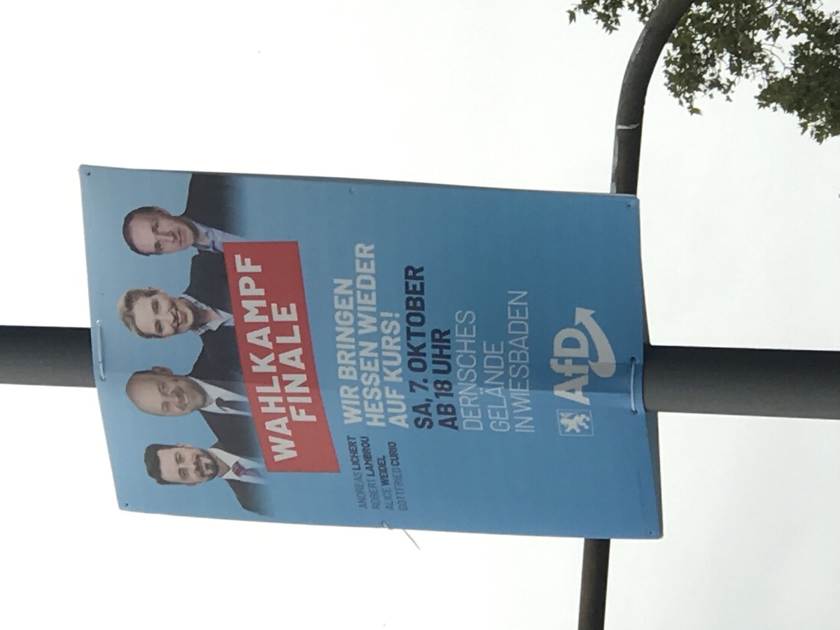AfD的競選海報。 圖：廖林麗玲提供